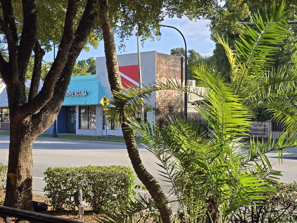 Coconut Grove