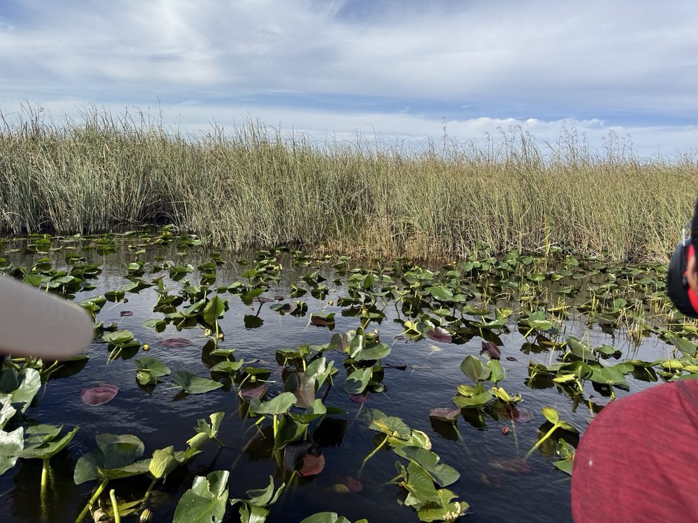 Airboat In Everglades