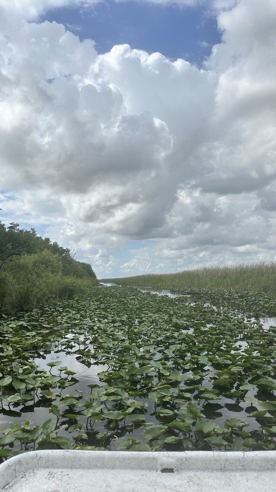 Mack's Fish Camp